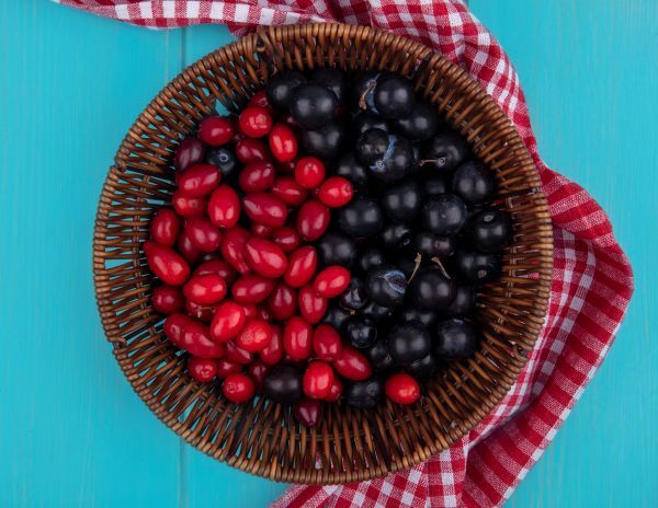 30.04 frutas Três frutas brasileiras entre as melhores do mundo que ajudam a reduzir o risco de câncer